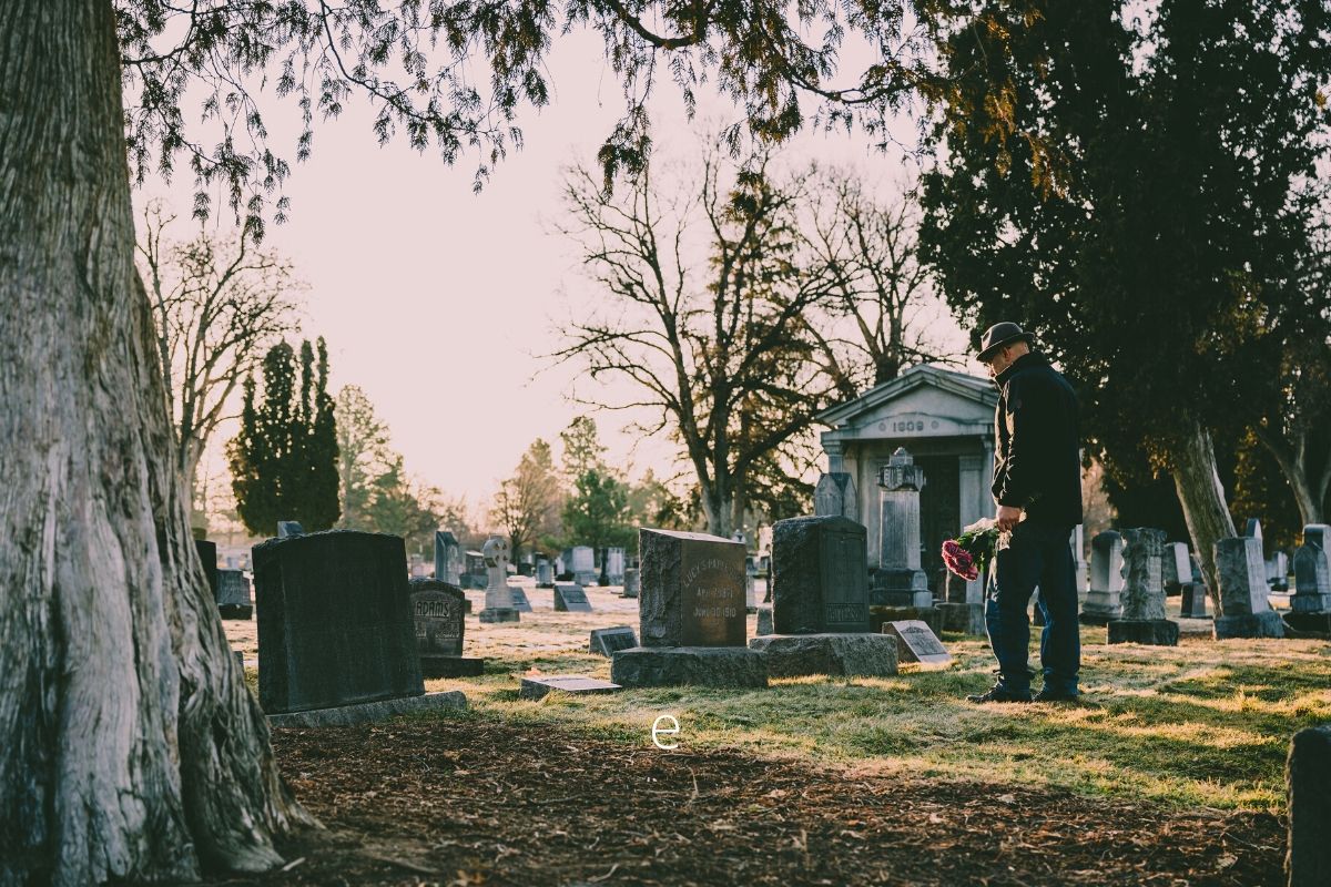 Las mejores flores que podemos llevar al cementerio